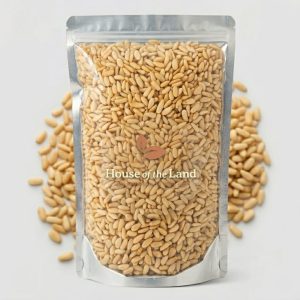 Pine Seeds